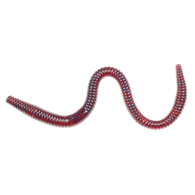 Xcite Baits Maximus Worm Xcite Baits Maximus Worm